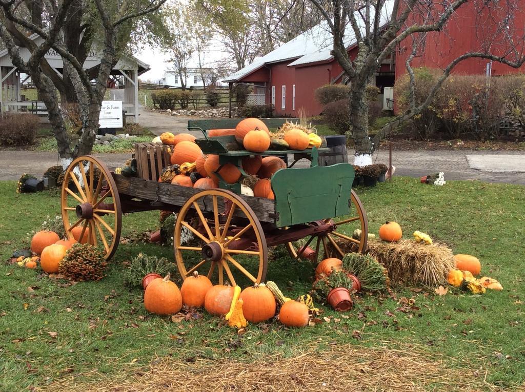 Countryside Inn Nappanee 外观 照片